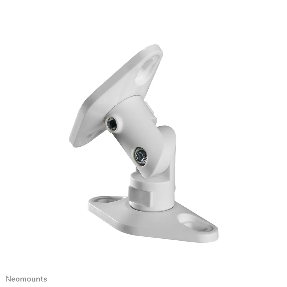 Speaker Wall- &amp; Ceiling Mount