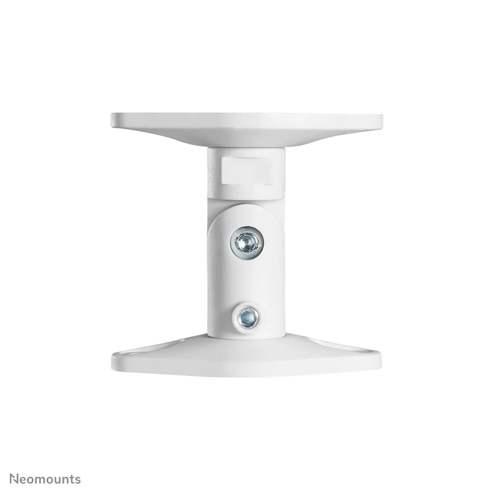 Speaker Wall- &amp; Ceiling Mount