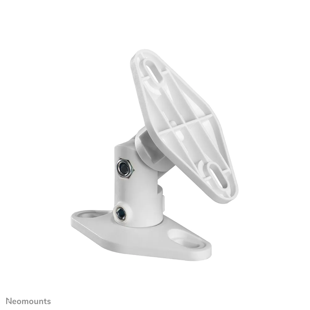 Speaker Wall- &amp; Ceiling Mount