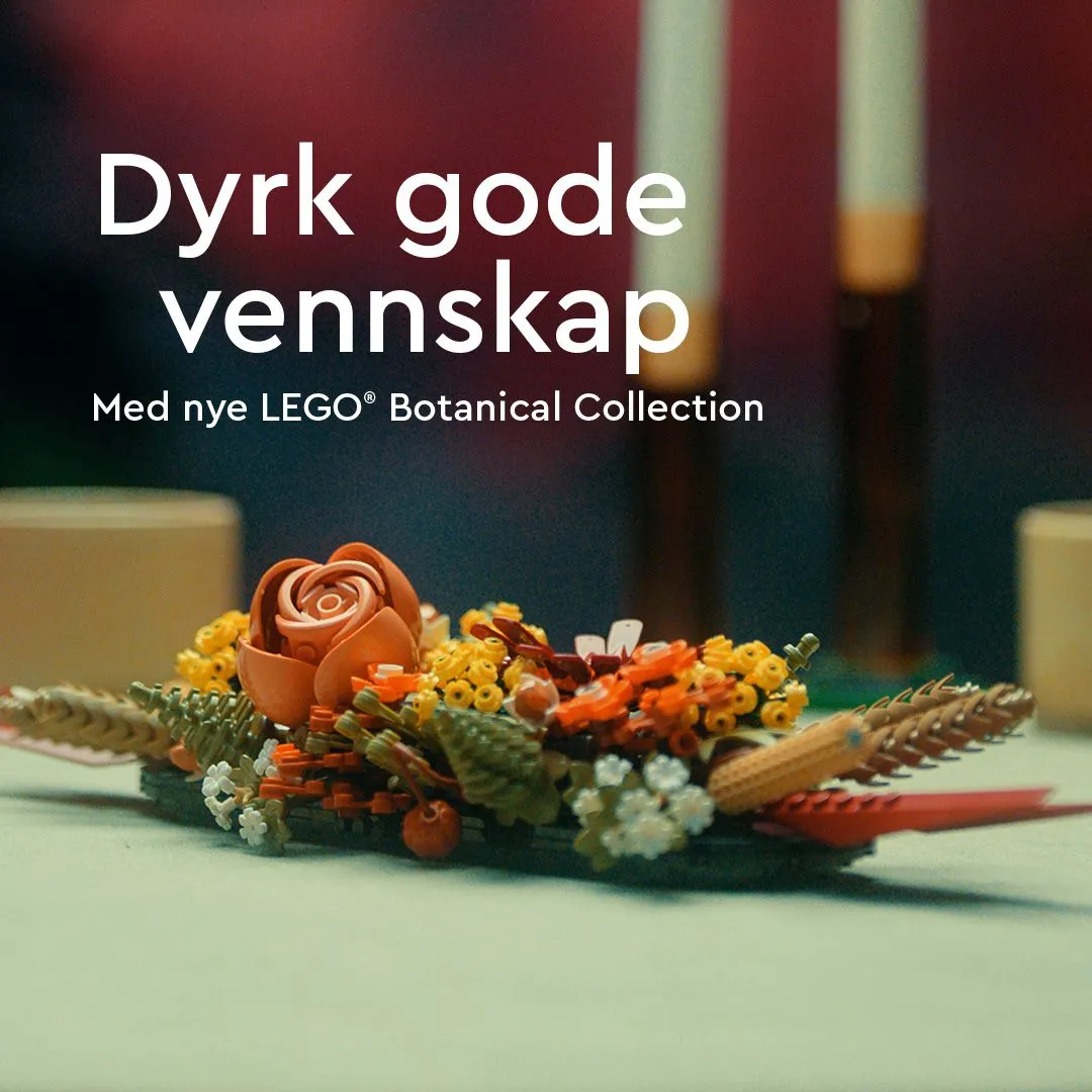 Lego Botanicals - bukett med vilda blommor 10313