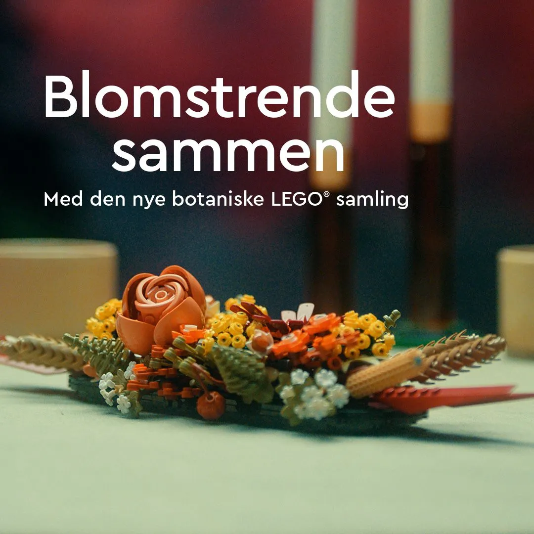 Lego Botanicals - bukett med vilda blommor 10313