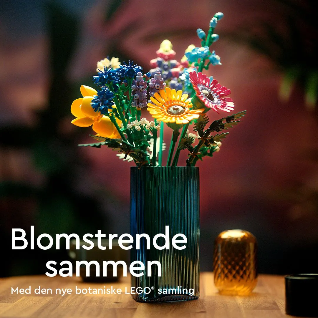 Lego Botanicals - bukett med vilda blommor 10313