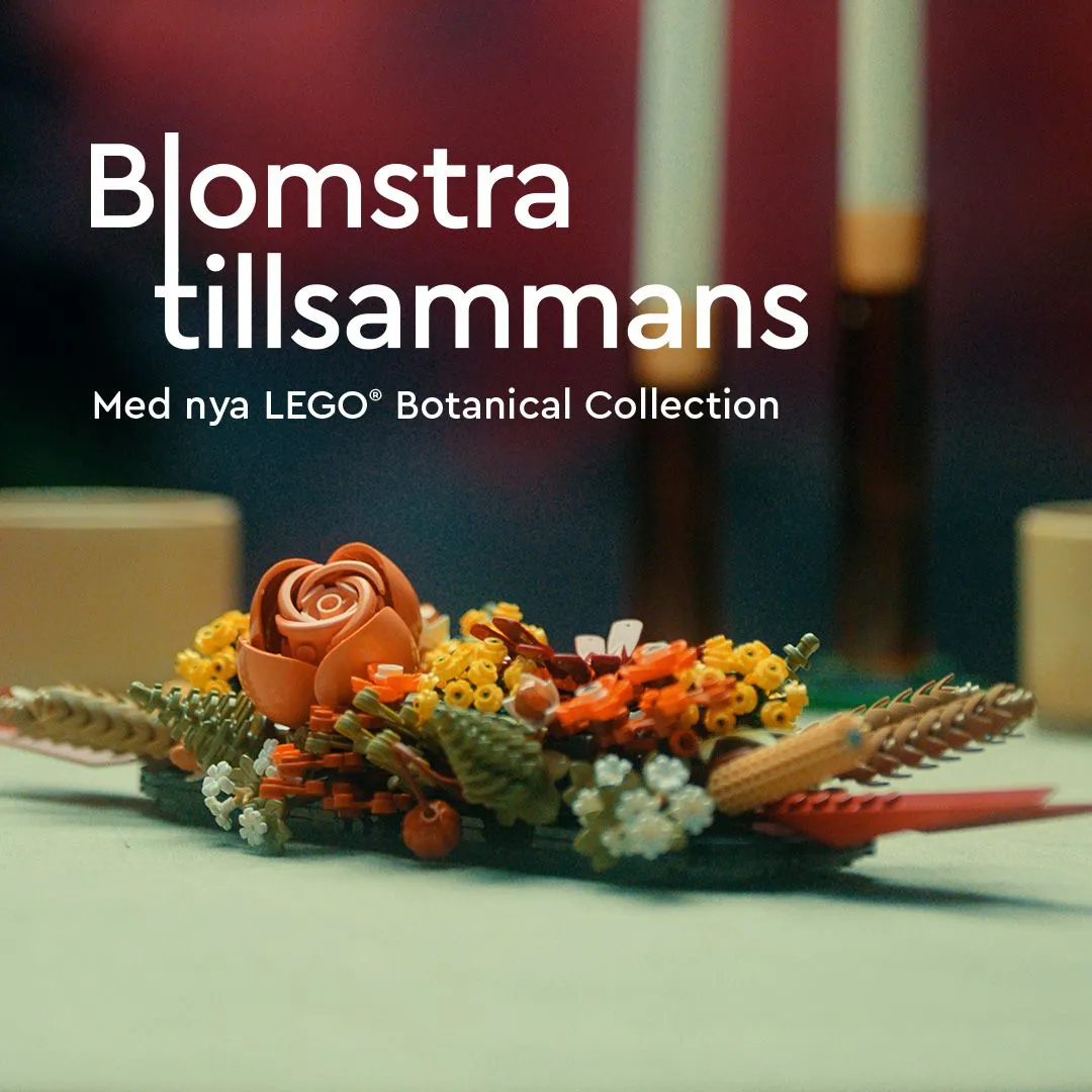 Lego Botanicals - bukett med vilda blommor 10313