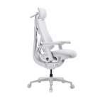 LiberNovo Omni Pro dynamisk ergonomisk kontorsstol - Glaci&auml;rvit