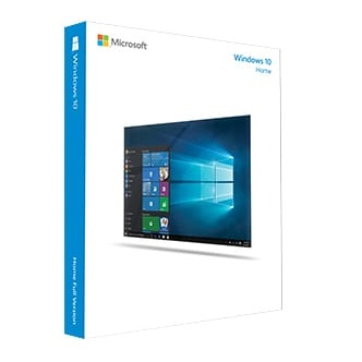 Windows 10 Home FPP USB, English