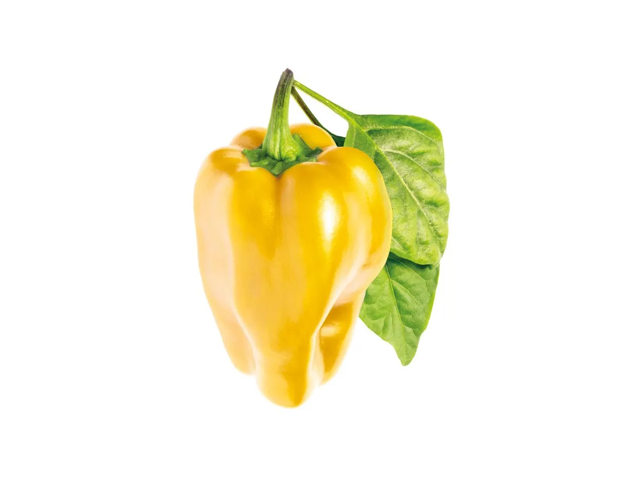 Click and Grow Smart Garden Refill 3-pack - Gul paprika