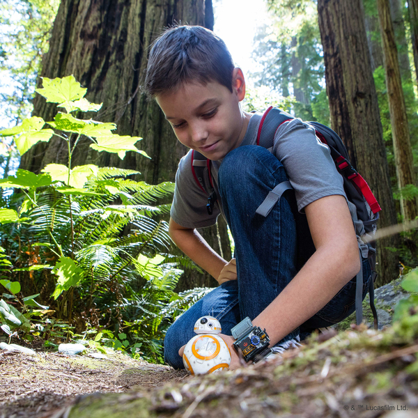 BB-8 Special Edition by Sphero | App Enabled Droid with Force Band
