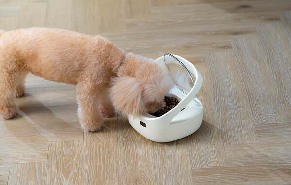 PETONEER NutriCare Smart Food Dispenser