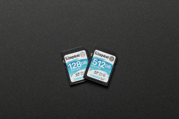 Kingston 128GB Canvas Go, Class 10 UHS-I - SDXC