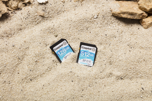 Kingston 128GB Canvas Go, Class 10 UHS-I - SDXC