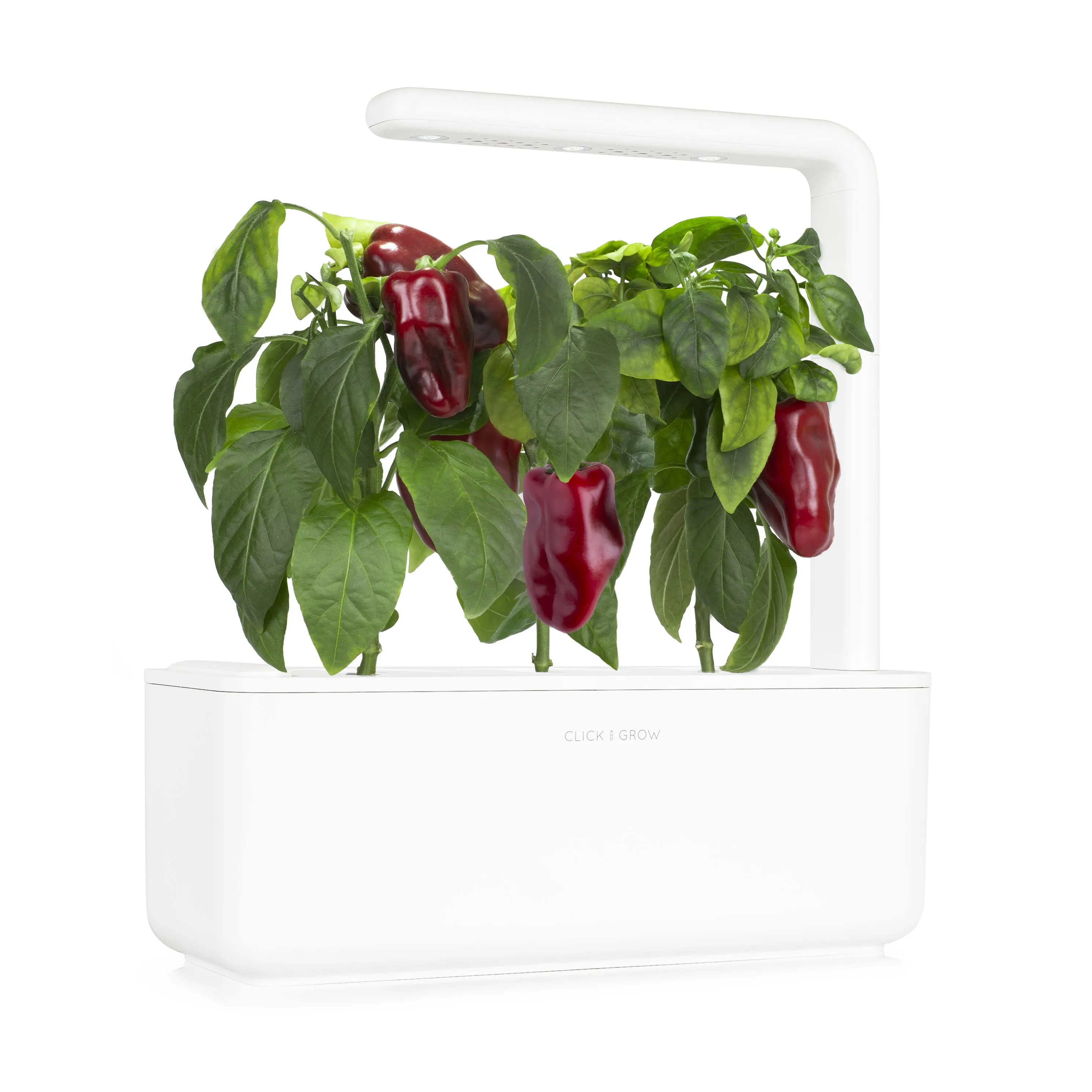 Click and Grow Smart Garden Refill 3-pack - Sweet red peppers