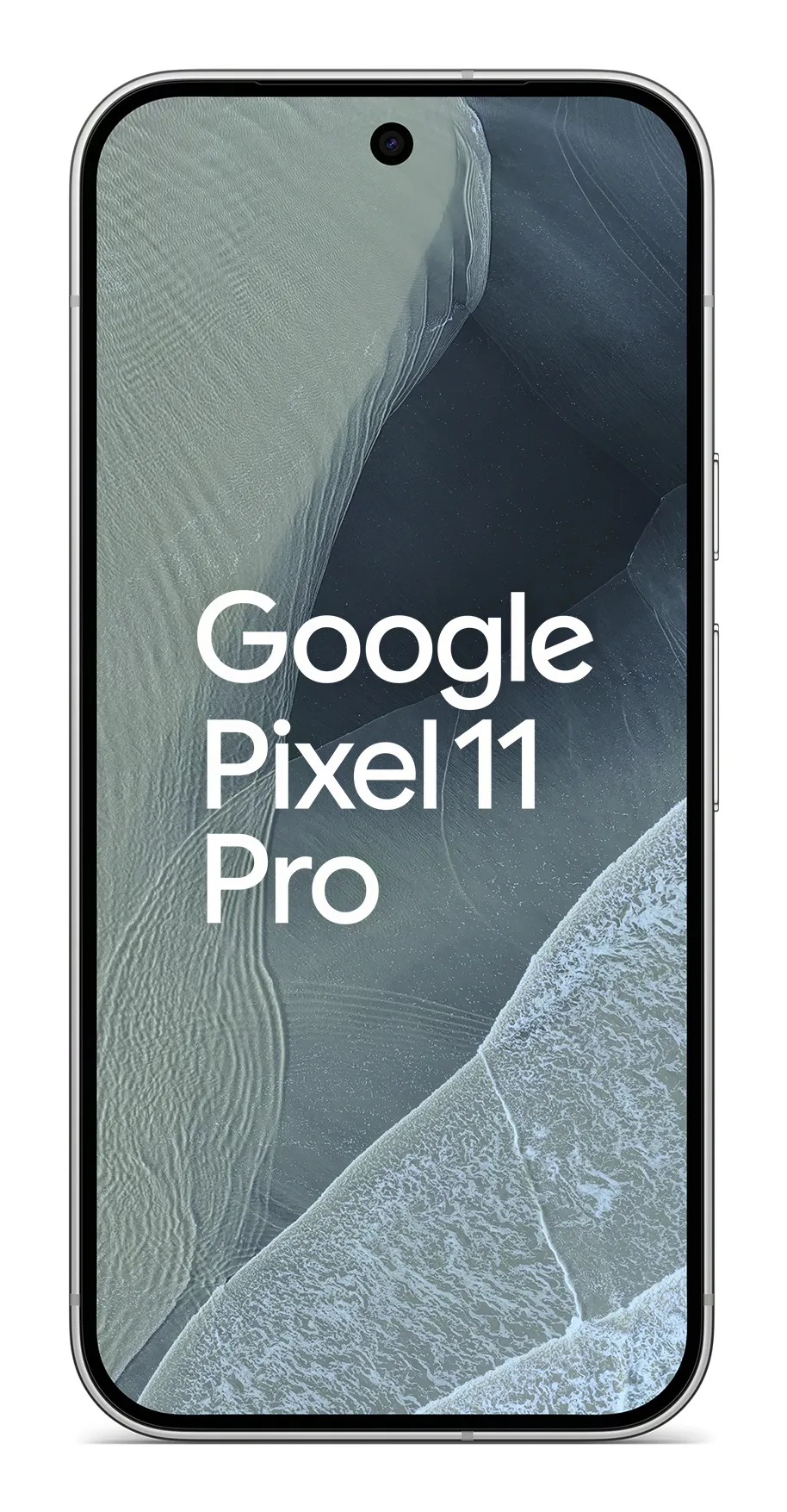 Google Pixel 11 Pro 12/256GB, Fog