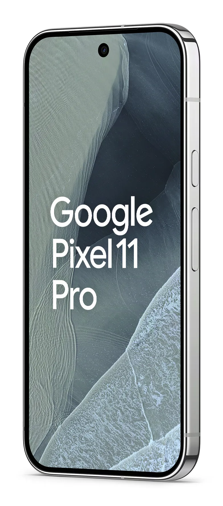 Google Pixel 11 Pro 12/256GB, Fog