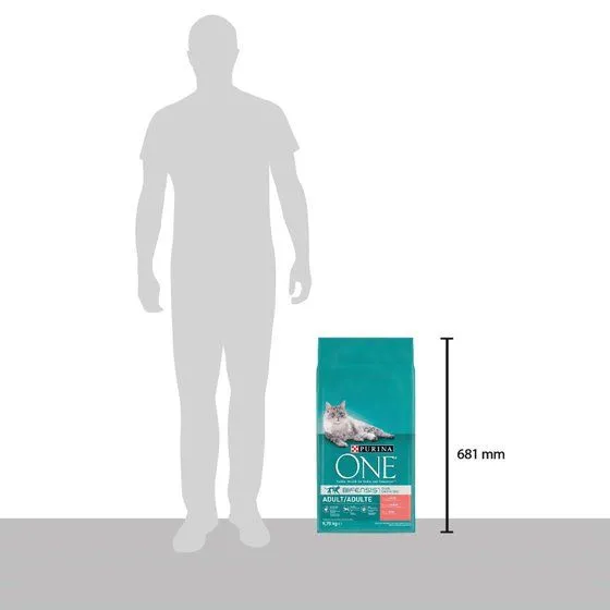 Purina One Salmon &amp; Whole Grain Cereals, Dry food for cats, Adult, 9.75kg