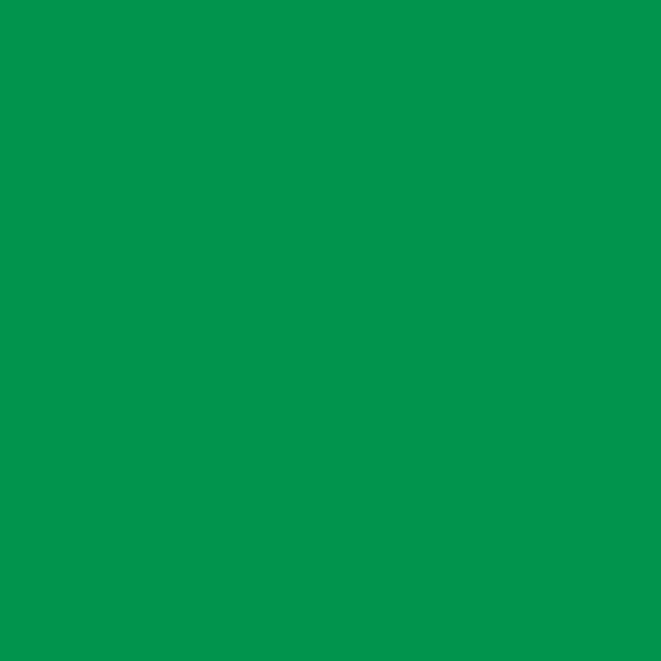 Cricut Smart Iron-on 33x91cm 1 sheet (Grass) Cricut Smart Iron-on 33x91cm 1 sheet (Grass)