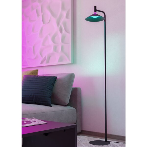 EGLO Conomavilla-Z - floor lamp, black
