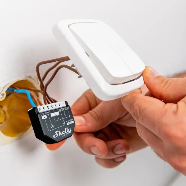 Shelly Qubino Wave 2PM