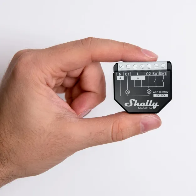 Shelly Qubino Wave 2PM