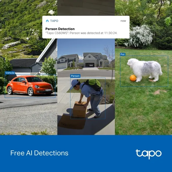 TP-Link Outdoor Pan/Tilt Security Wi-Fi Camera