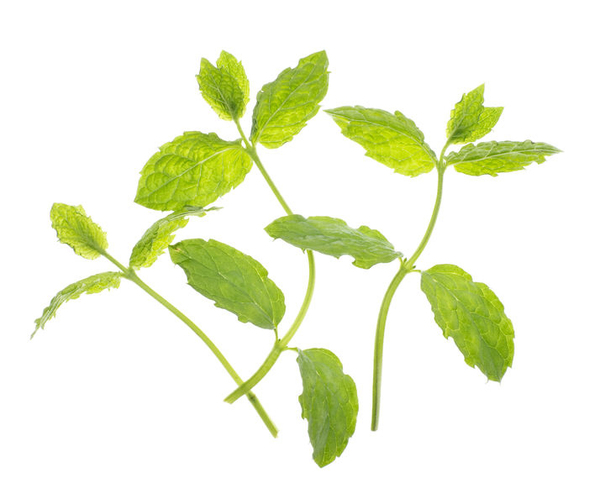 TREGREN Fr&ouml;kapslar Mynta Tv&aring; st