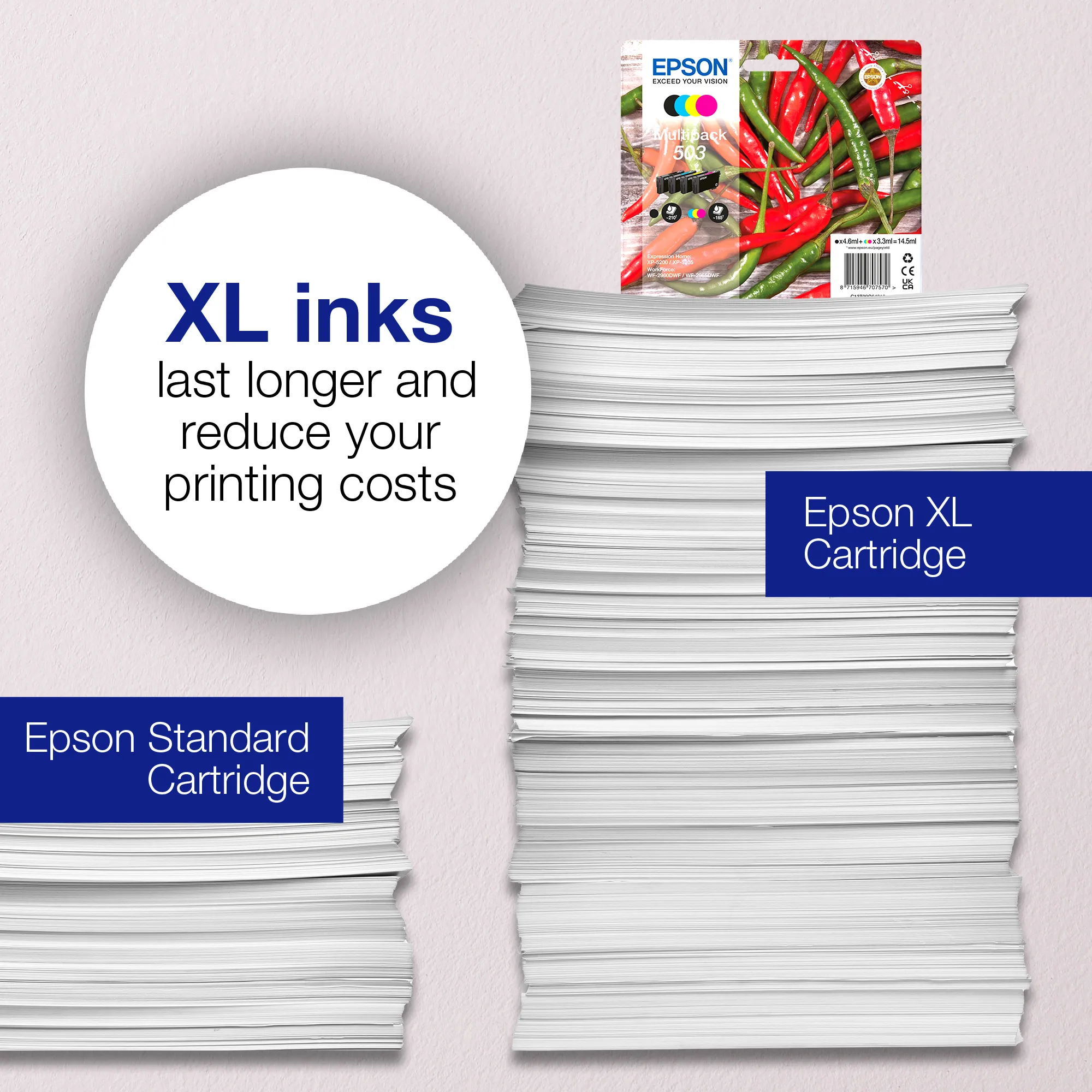 Epson 503XL C13T09R24020 XL-mustekasetti, 6.4 ml, syaani