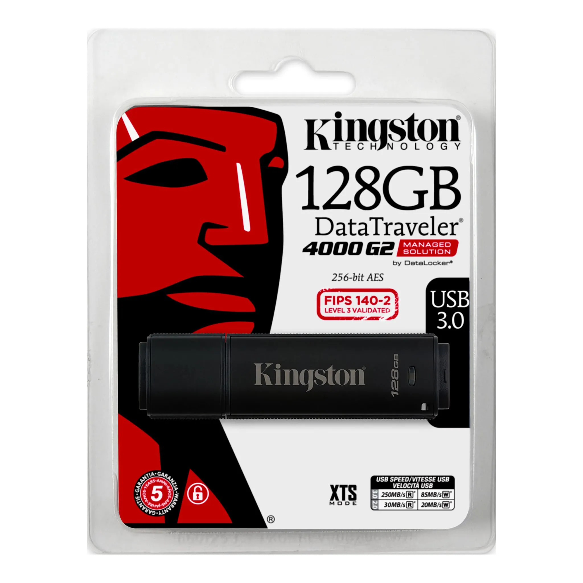 Kingston 128 GB DataTraveler 4000G2 Encrypted USB 3.2 Gen 2 (3.1 Gen 2) - minne, Svart