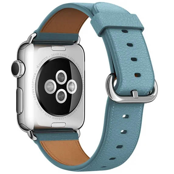 APPLE 38mm Blue Jay Classic Buckle