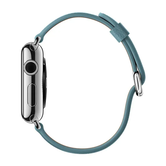 APPLE 38mm Blue Jay Classic Buckle