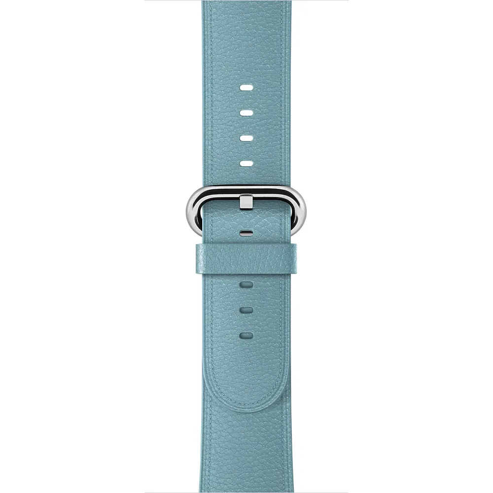 APPLE 38mm Blue Jay Classic Buckle