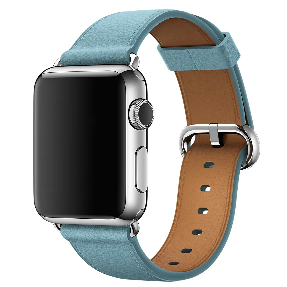 APPLE 38mm Blue Jay Classic Buckle