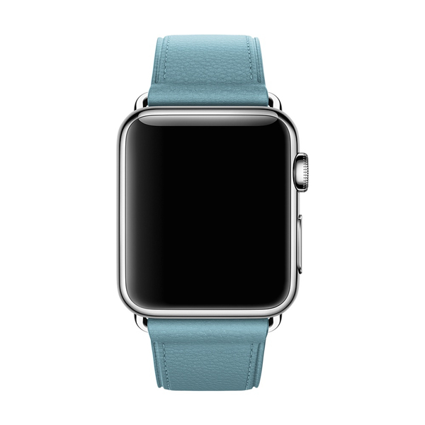 APPLE 38mm Blue Jay Classic Buckle