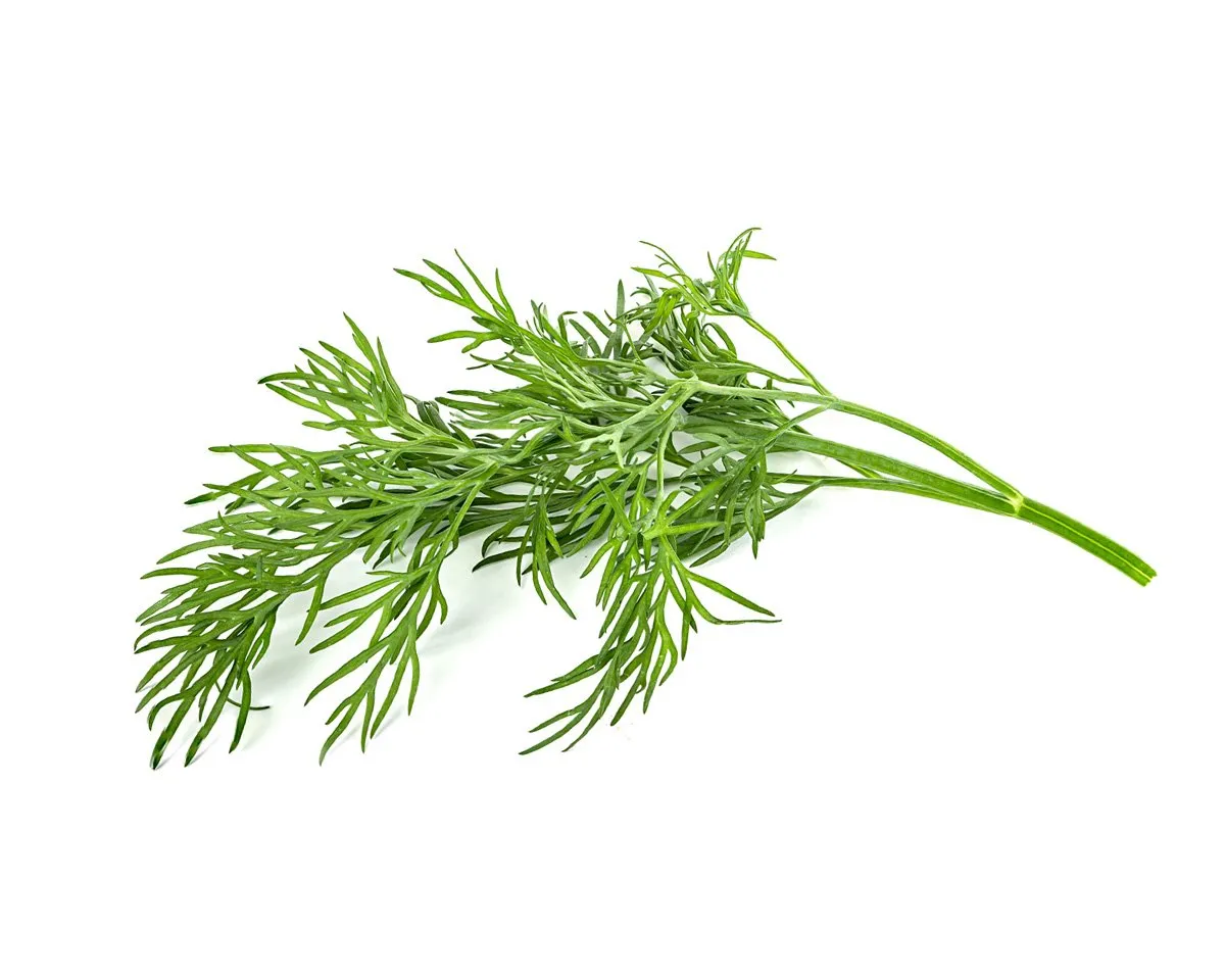 Click and Grow Smart Garden Refill 3-pack - Dill