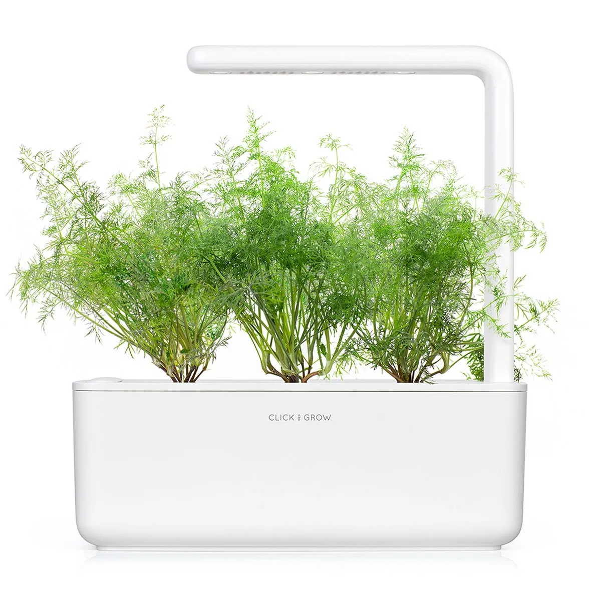 Click and Grow Smart Garden Refill 3-pack - Dill