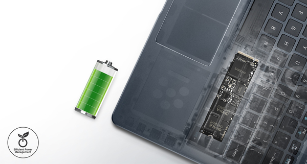 SSD 950 PRO 256GB M.2