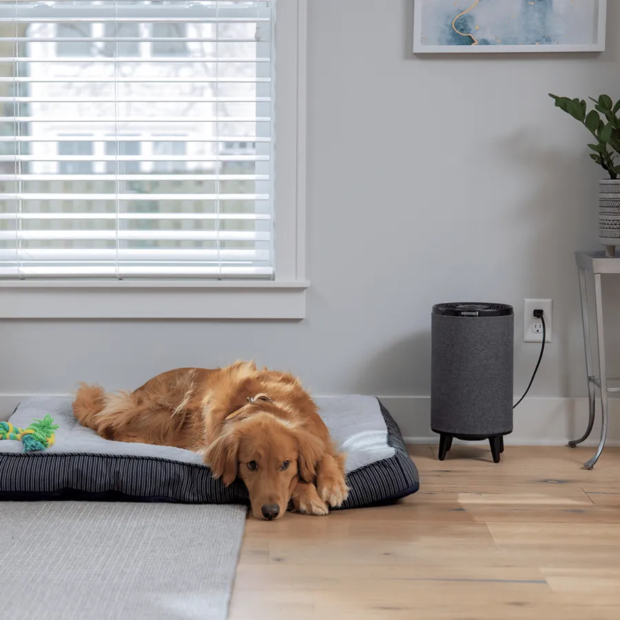 Bissell Myair HUB -ilmanpuhdistaja, musta Bissell Myair HUB -ilmanpuhdistaja, musta