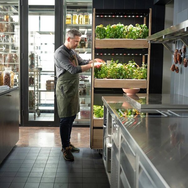 Click and Grow 25 - Svart (Salad Greens 54x pack)