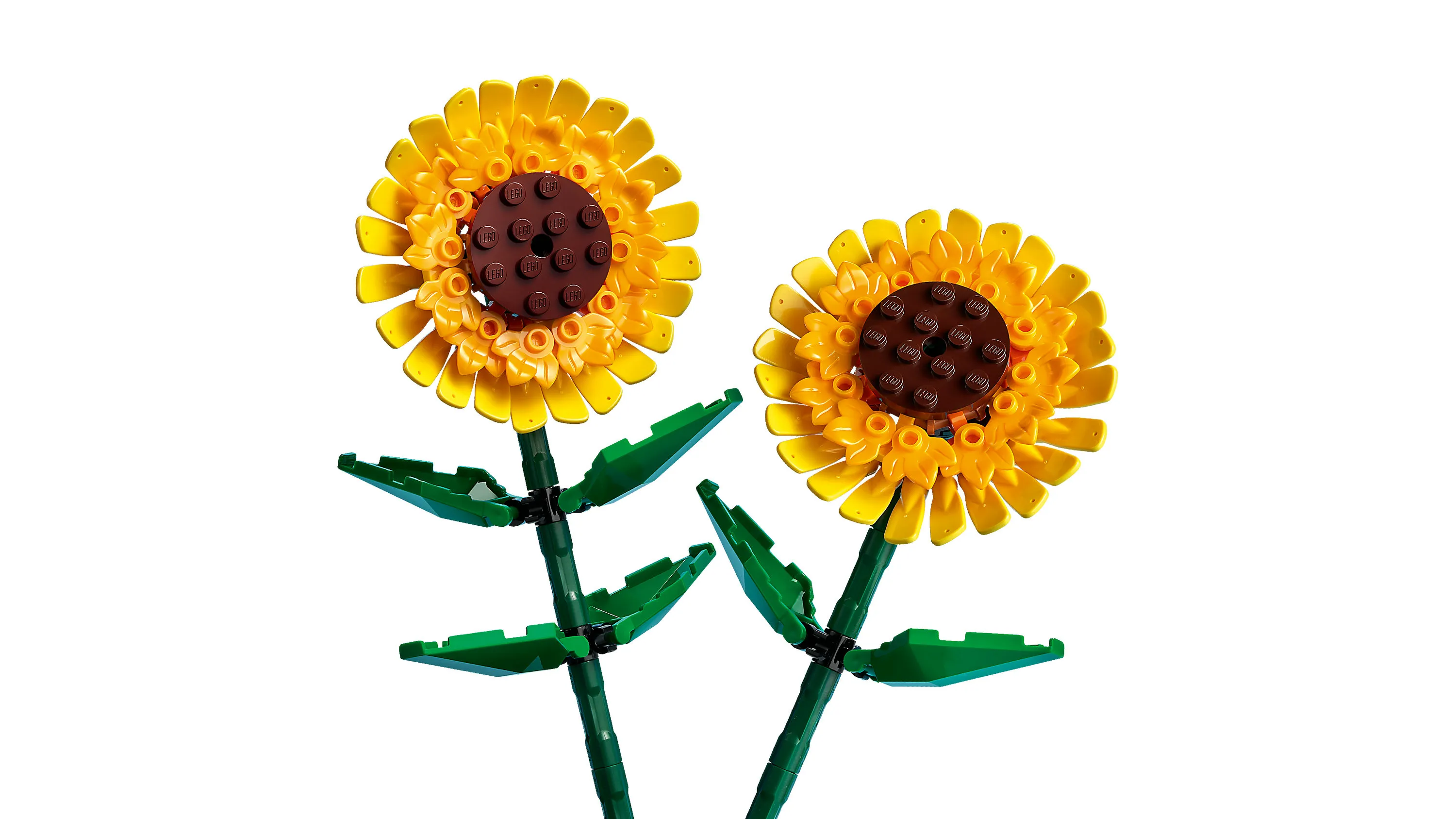 LEGO Botanicals Sunflowers 40524