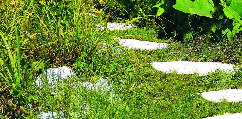 Einhell Cordless grass and shrub shear GE-CG 7,2 Li, grass shears