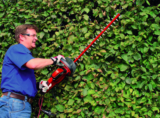 Einhell hedge trimmer GE-EH 6560 approx