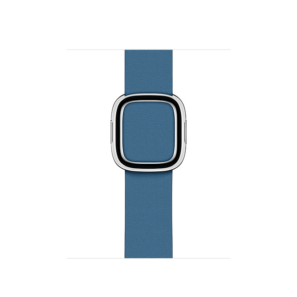 Apple Watch 40mm Cape Cod Blue Modern Buckle - Small