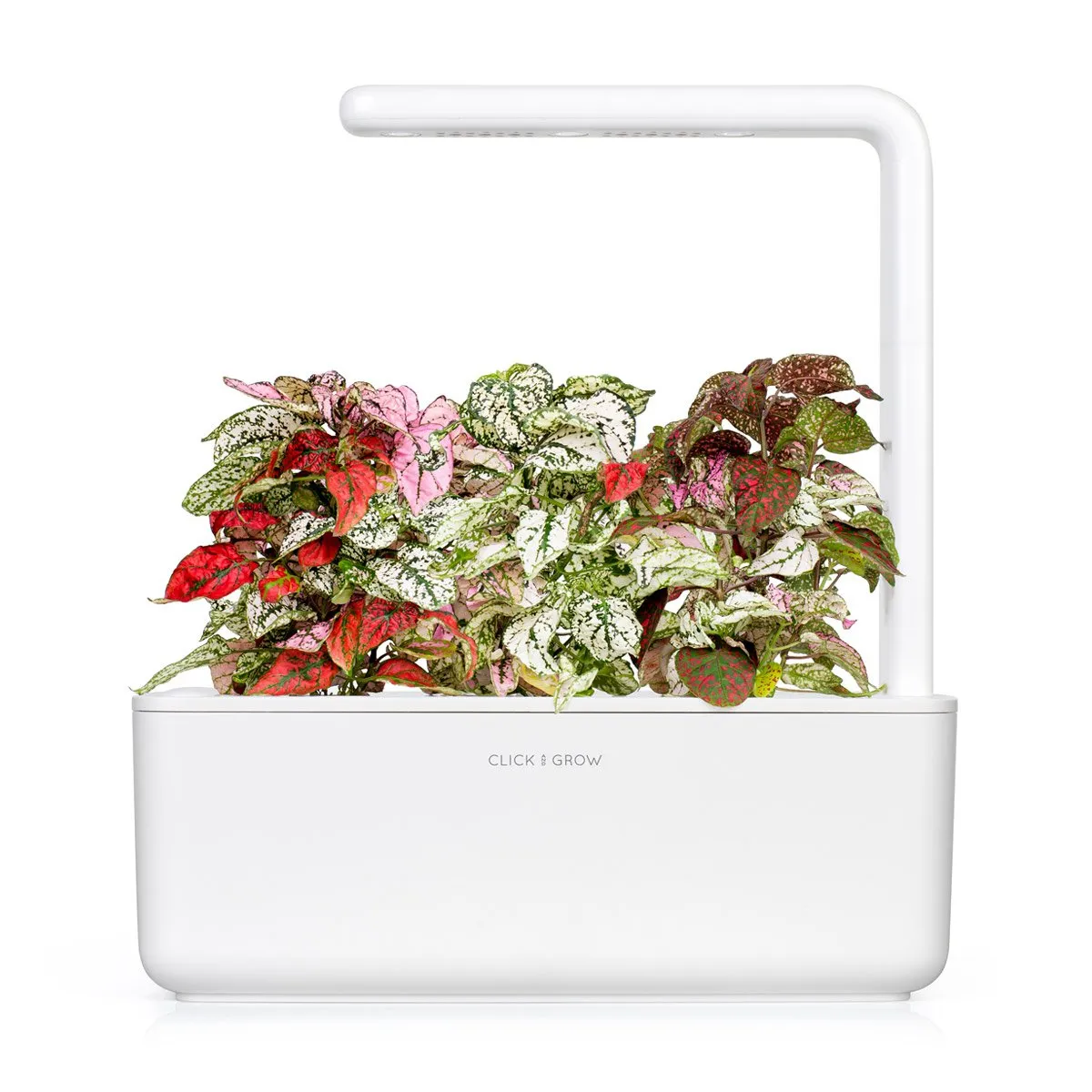 Click and Grow Smart Garden Refill 3-pack - Rosenstänk