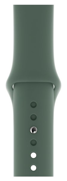 Apple Watch 40mm Sport Band, Pine Green