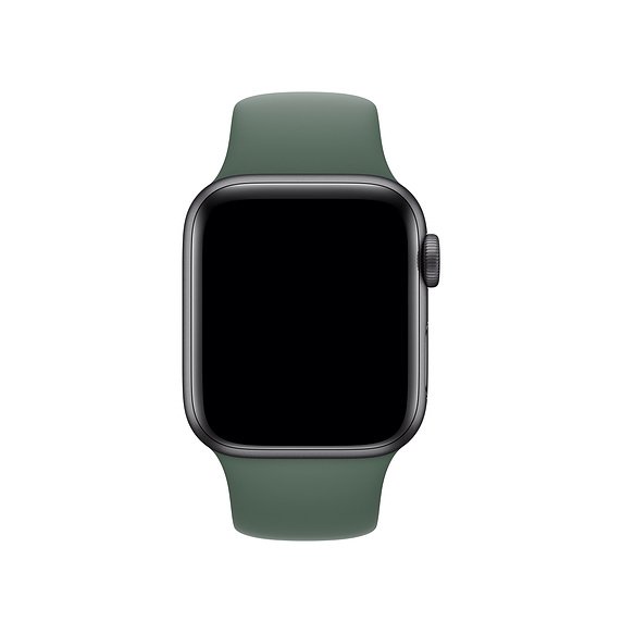 Apple Watch 40mm Sport Band, Pine Green