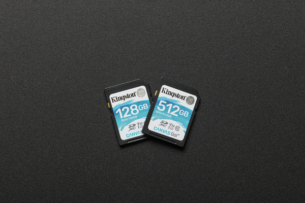 Kingston 64GB Canvas Go, Class 10 UHS-I - SDXC