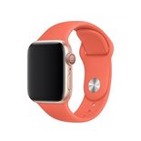 Apple Watch 40mm Sport Band, Clementine